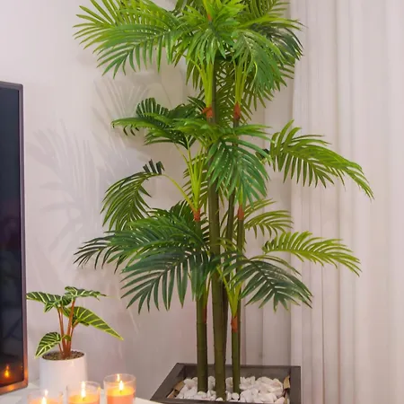 - Ferreiras アパート