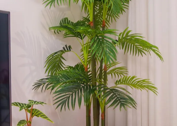 - Ferreiras アパート